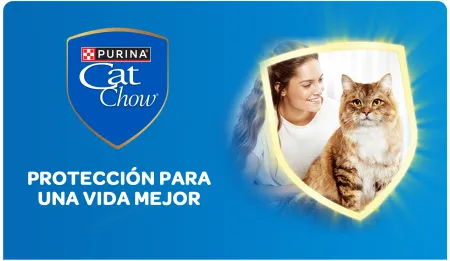 Cta-CatChow.png.webp?itok=jEmnbvsS